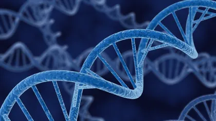PREMIERĂ. Oamenii de ştiinţă vor secvenţia ADN-ul în spaţiu