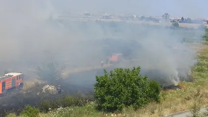 Firea, după incendiile din Delta Văcăreşti: 