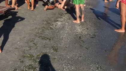 Clipe de groază pe plaja din Mamaia. O femeie, scoasă din apă pe braţe