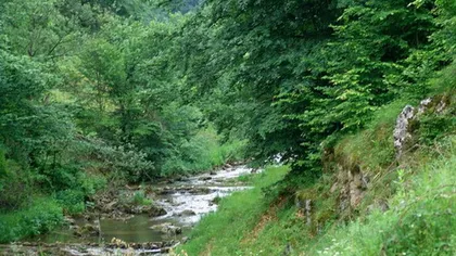 Populaţia din Bistriţa-Năsăud, avertizată să nu folosească apa din pârâul Rosua deoarece este poluat