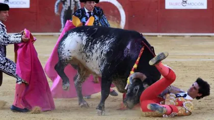 Scene ŞOCANTE în Spania: Matador ucis de taur în faţa a mii de spectatori VIDEO