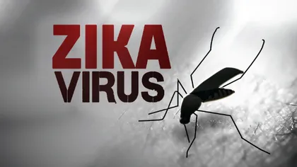 STUDIU: Epidemia de Zika s-ar putea întinde pe o perioadă de trei ani