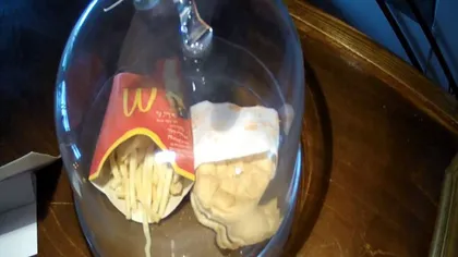 Cum arată un hamburger de la McDonald's care a stat 7 ani într-o vitrină
