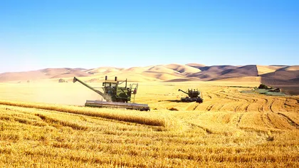 TVA-ul la materiile prime agricole a scăzut la 9%, de la 1 august