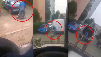 Imagini şocante în Sibiu. Câine supus unui tratament barbat de către hingheri VIDEO
