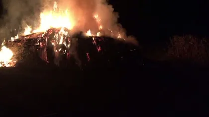 Incendiu puternic în Botoşani. Flăcările au cuprins un adăpost de animale VIDEO
