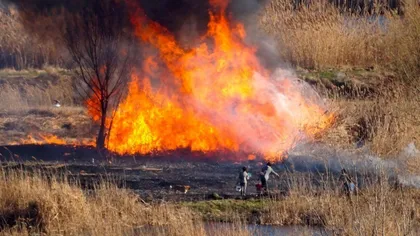 Stare de urgenţă în sud-estul Bulgariei din cauza unui incendiu de vegetaţie