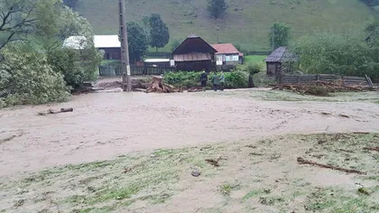 Puhoaiele au făcut prăpăd într-o localitate din Harghita. Zeci de gospodării inundate FOTO