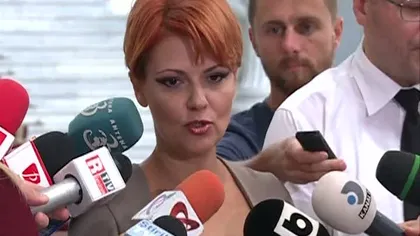 Tribunalul Bucureşti: Afirmaţia că Lia Olguţa Vasilescu i-a incitat pe simpatizanţi împotriva denunţătorului nu este susţinută