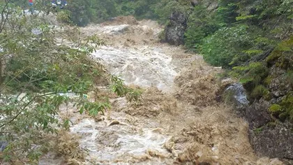 Zona de campare de la Cabana Padina, complet inundată după o ploaie torenţială VIDEO