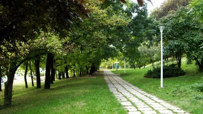 O porţiune din Parcul Verdi din Bucureşti, de vânzare pe OLX