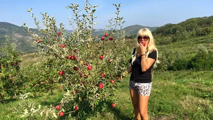 Elena Udrea, la cules de mere. Cum s-a pozat protejata lui Băsescu în livadă GALERIE FOTO