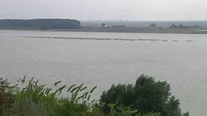 Apele Dunării au ajuns la primul dig local de apărare, pe braţul Borcea. Săptămâna viitoare, va fi depăşită cota de atenţie la Feteşti