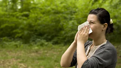 Alergiile de toamnă: polenul de ambrozie