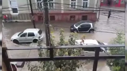 Furtuna a făcut ravagii în Dej. Mai multe străzi au fost inundate, iar copacii au fost puşi la pământ VIDEO