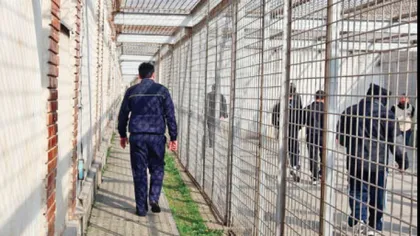 Deţinutul care a evadat de la penitenciarul din Tulcea a fost prins