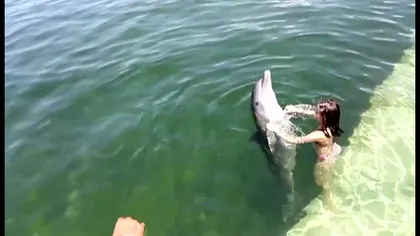 O fetiţă şi un delfin fac senzaţie pe reţelele de socializare VIDEO