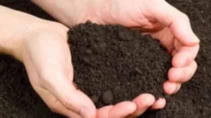 Secretele grădinaritului: 5 metode naturale eficiente de îmbunătăţire a solului