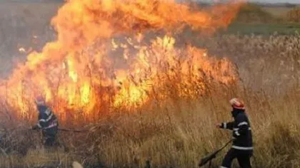 Incendiu de proporţii pe un câmp din Prahova. Culturi de porumb distruse, iar tone de deşeuri mistuite de flăcări