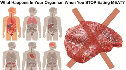 Incredibil! Ce se întâmplă în corpul tău când nu mai mănânci carne deloc