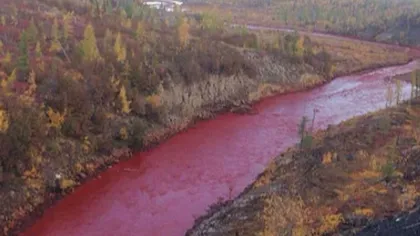 Alertă în Rusia! Apa unui râu a căpătat culoarea sângelui peste noapte