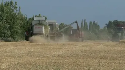 Guvernul României, anunţ important pentu agricultori