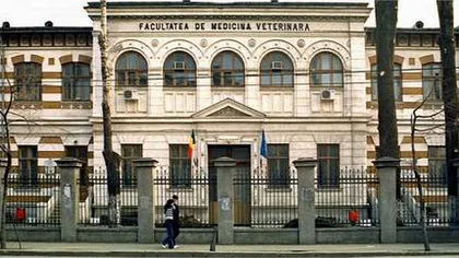 Profesor la Facultatea de Medicină Veterinară din Bucureşti, trimis în judecată pentru luare de mită
