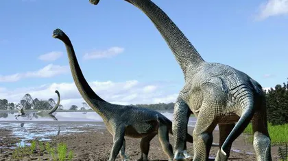 Nouă specie de dinozaur: Un ierbivor cu un corp cât jumătate de teren de baschet VIDEO