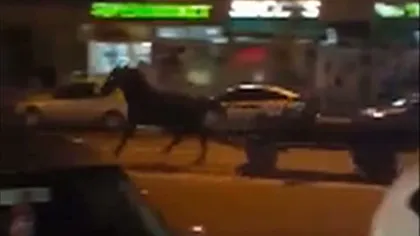 Cursă nebună în Târgu Jiu. Un bărbat a gonit cu căruţa pe şosea VIDEO