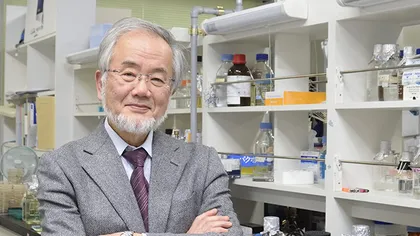NOBEL 2016: Premiul Nobel pentru medicină a fost câştigat de Yoshinori Ohsumi