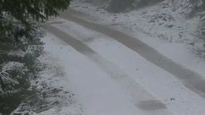 Iarna îşi intră în drepturi: Stratul de zăpadă masoară 10 centimetri în judeţul Suceava VIDEO