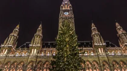 Brad de 27 de metri înălţime, instalat în faimoasa Piaţă de Crăciun de la Viena
