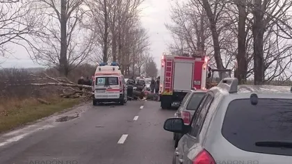 Un bărbat din Arad, în stare gravă, după ce un copac s-a prăbuşit pe maşina sa