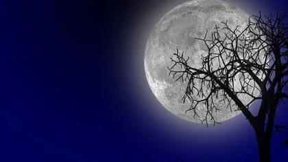 Horoscop: Cum te va influenţa Super Luna din 14 noiembrie