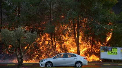 În Israel s-a stârnit iadul: Flăcările mistuie tot ce le stă în cale