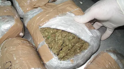 110 kilograme de marijuana descoperite în cabina unui TIR la Calafat