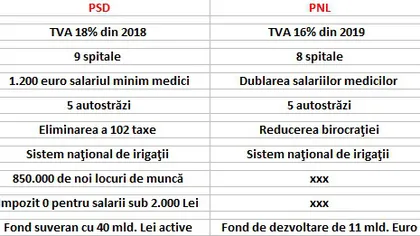 Comparaţie programe electorale PSD - PNL. Cine promite mai mult