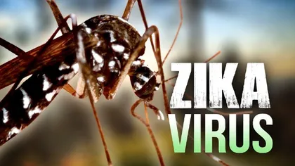 VIRUSUL ZIKA. Argentina a înregistrat primul deces al unui nou-născut afectat de microcefalie asociată Zika