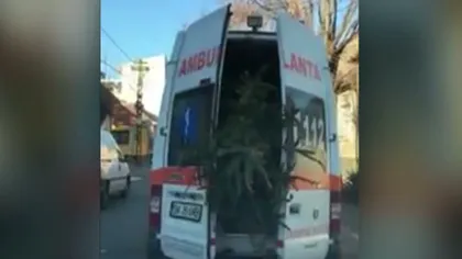 Ambulanţă filmată în timp ce transporta un brad de Crăciun VIDEO