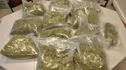 Aproape şase tone de droguri au fost confiscate în primele zece luni ale anului