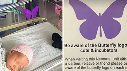 Dacă vezi vreodată acest fluture mov pe pătuţul bebeluşului, nu-i întreba niciodată pe părinţi despre el