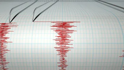 Cutremur de 3,4 grade pe scara Richter în judeţul Buzău, la ora 4.50