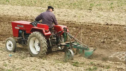 Mai puţin de 10% din fermierii români au o vârstă de până la 40 de ani
