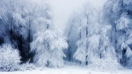 Cea mai scăzută temepratură din această iarnă, în România. S-au înregistrat minus 23,4 grade Celsius