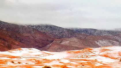 Minune în deşert: A nins în Sahara, pentru prima oară în 37 de ani