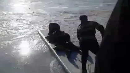O căprioară a fost salvată de scafandri din apele îngheţate ale Dunării VIDEO