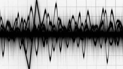 Cutremur de 6,9 în largul Insulelor Fiji. A existat pericolul producerii unui tsunami