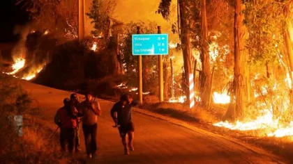Chile: Şase morţi din cauza incendiilor forestiere