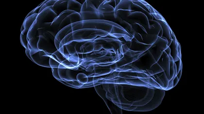 Nivelul scăzut de glucoză din creier, primul semn al instalării bolii Alzheimer