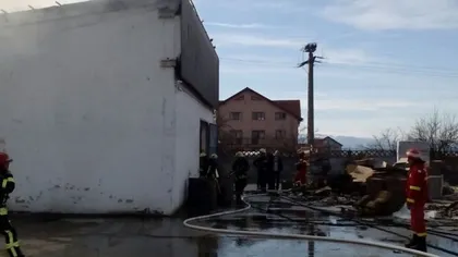 Incendiu la o hală de depozitare cartoane din Sibiu